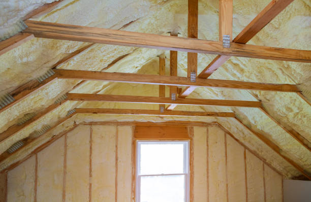 Best Residential Insulation in Hardeeville, SC