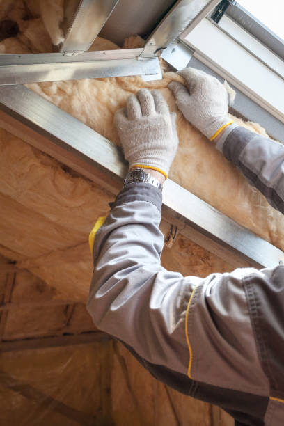Best Insulation Maintenance and Repair in Hardeeville, SC